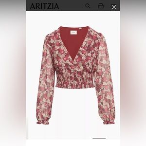 Aritzia Wistful Blouse